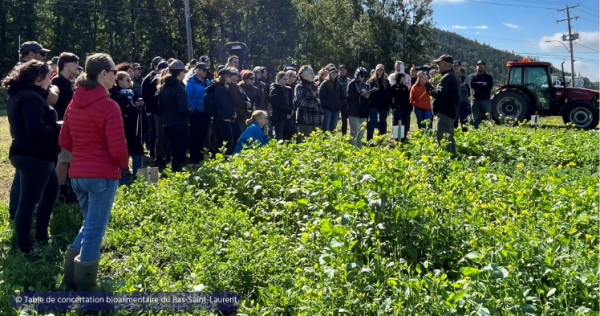 Déjà plus de 930 000 $ octroyés pour soutenir le développement du secteur bioalimentaire