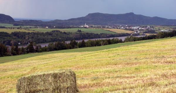 Appel à projets collectifs - Fonds de soutien au développement bioalimentaire